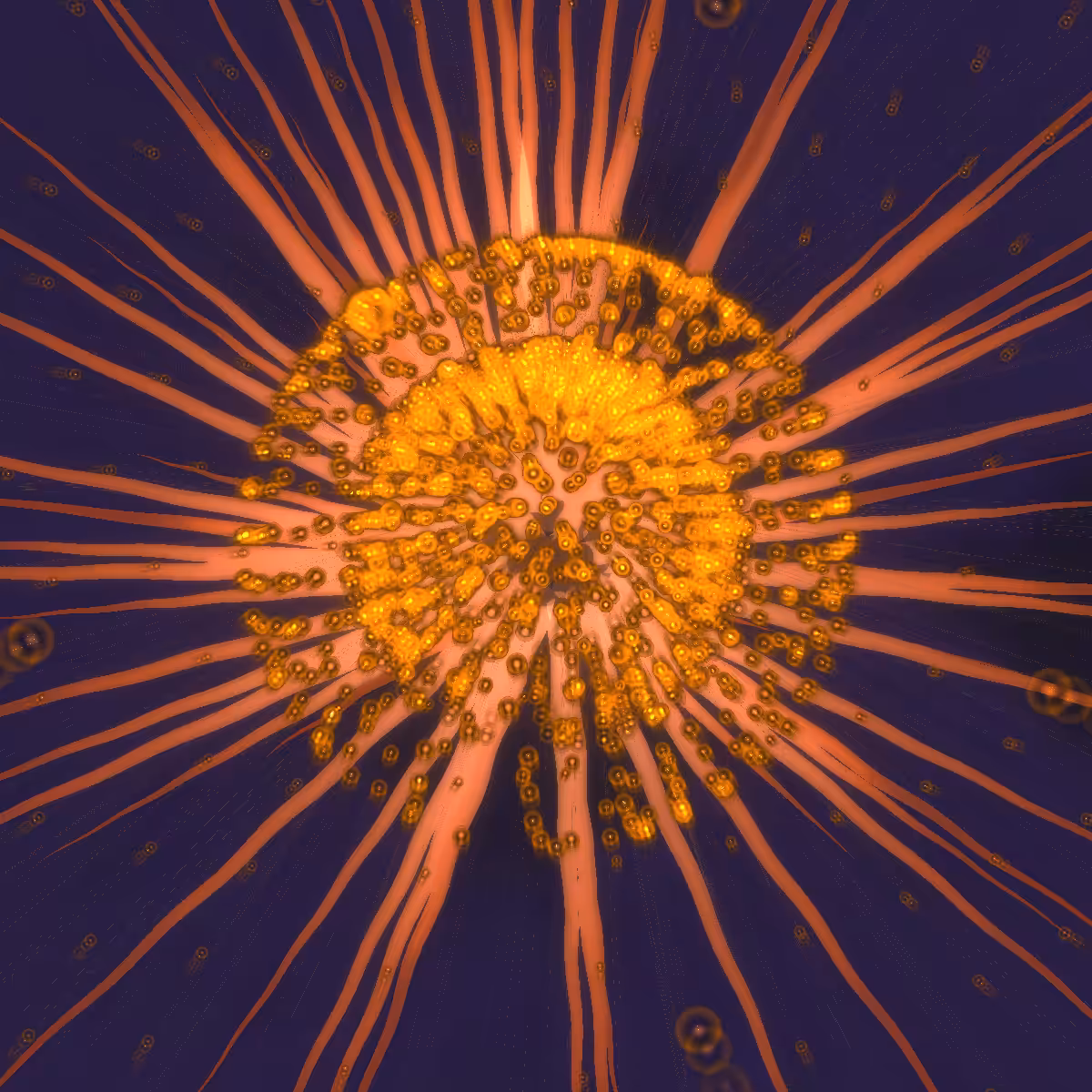 Cosmic Bloom #824