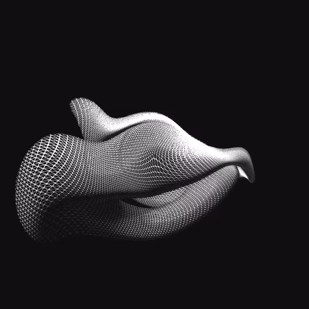 carbon toroid I