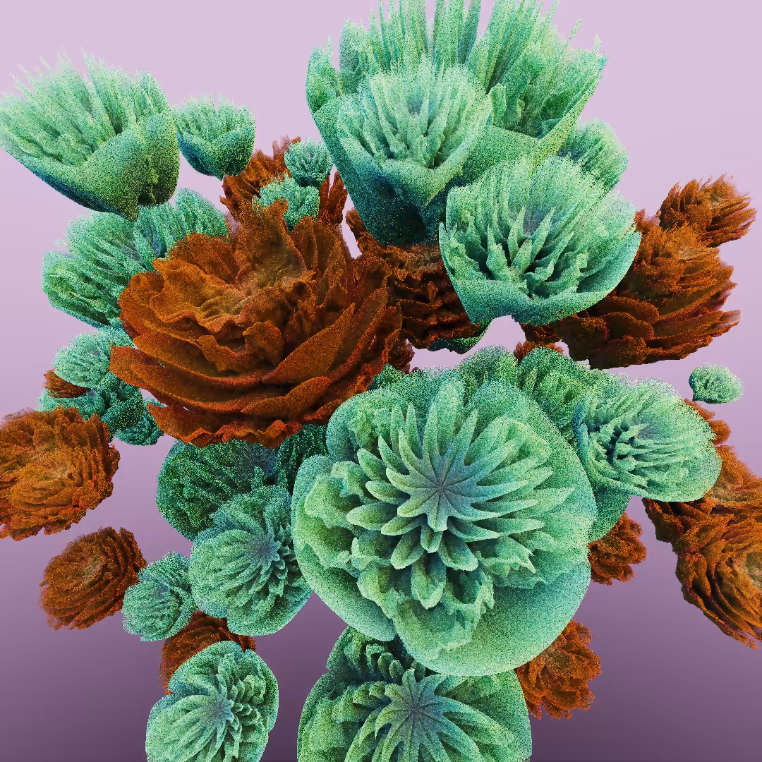 rosarium #24