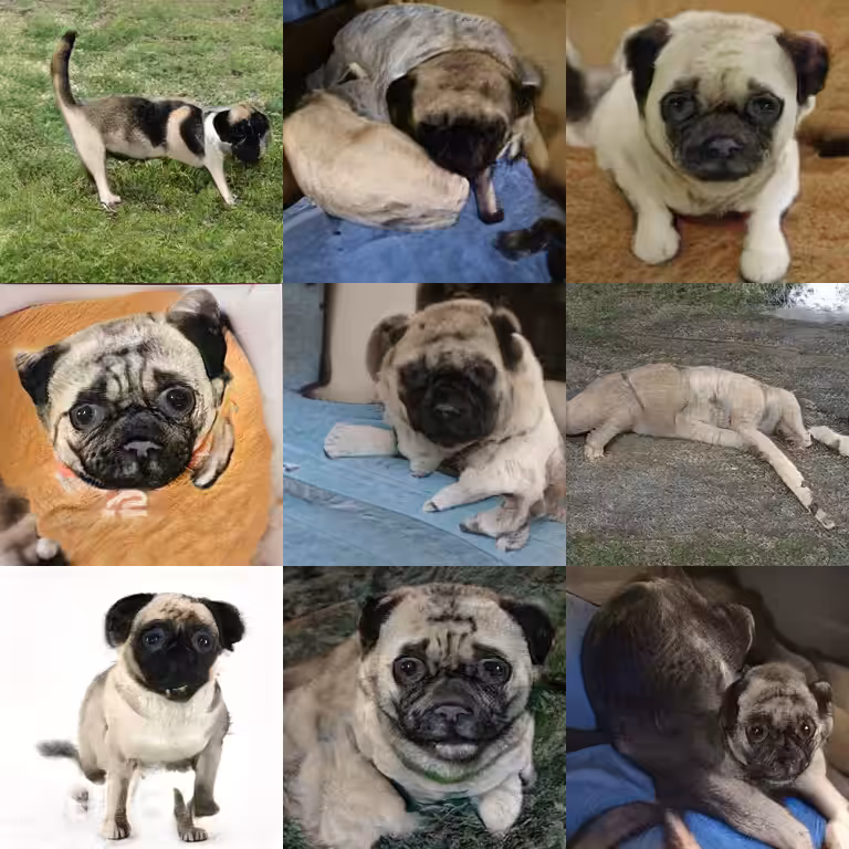 Interpolation grid of pugs
