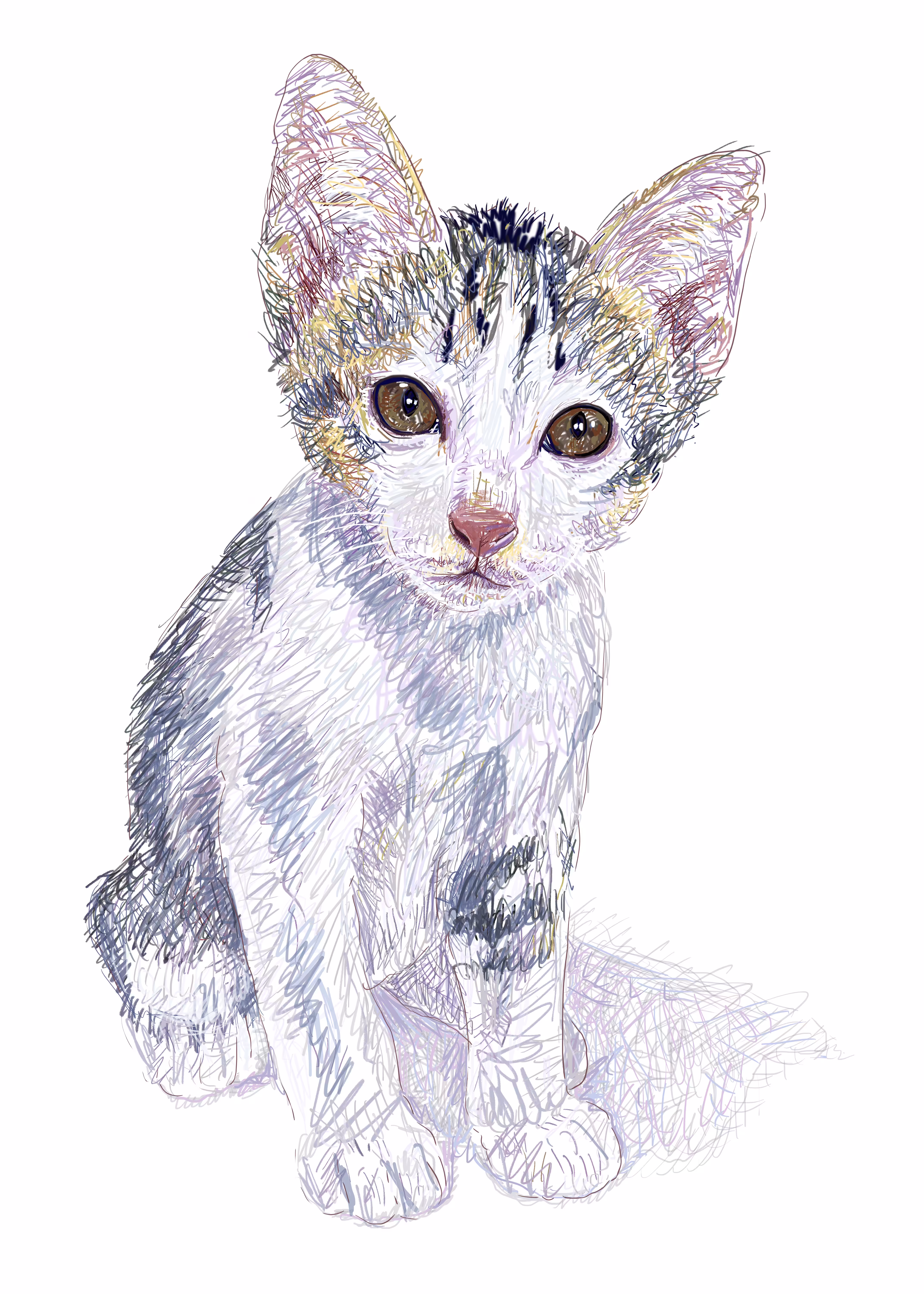 Lovely kitten