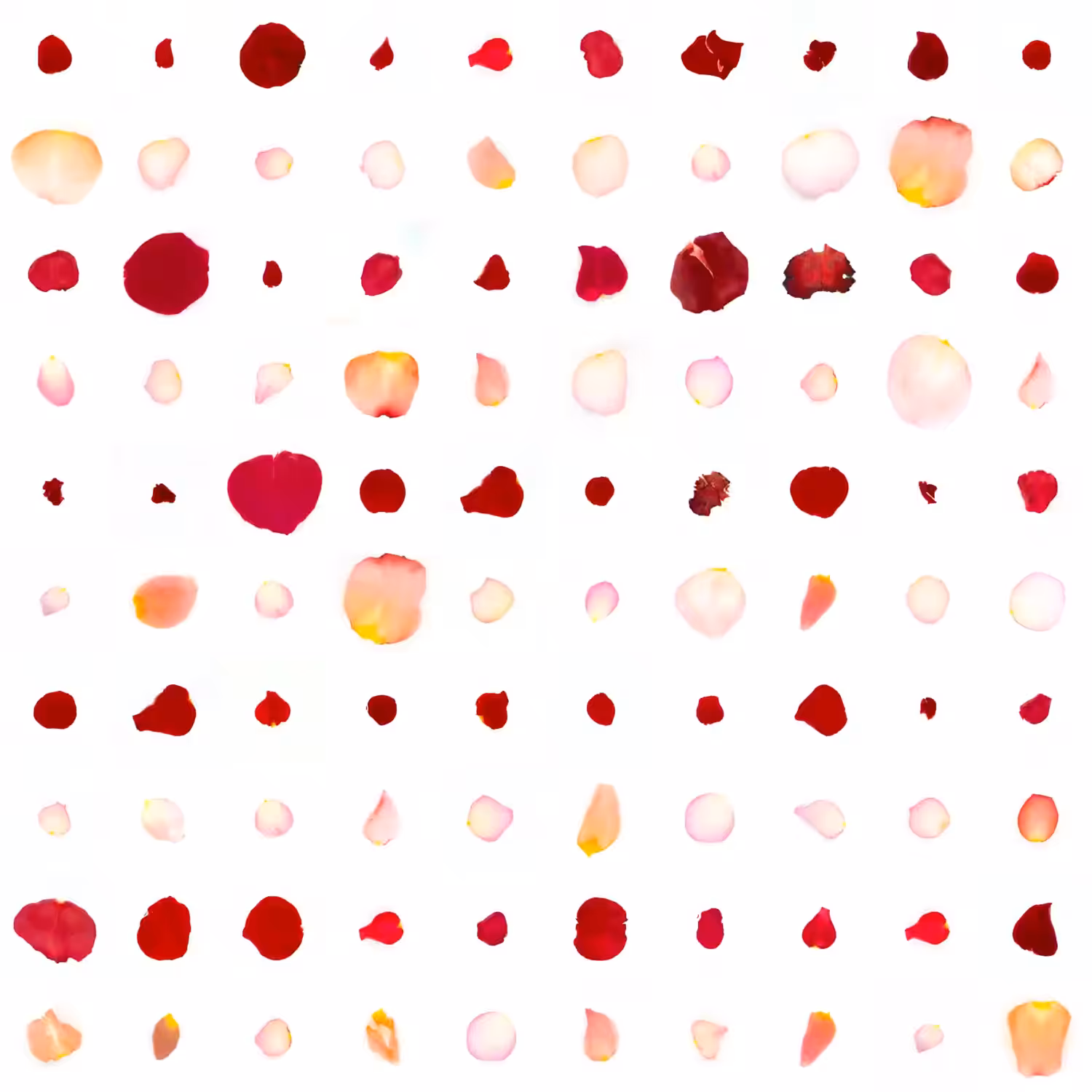 Infinite Petals 10x10#2030