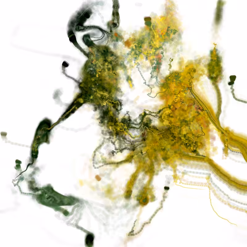 Hypericum #140