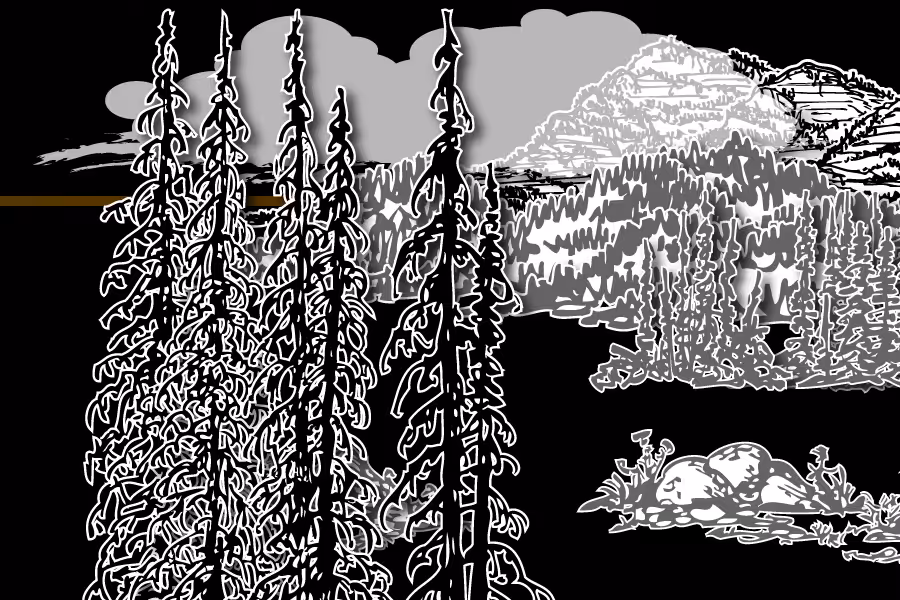 Wild Paper Road #10