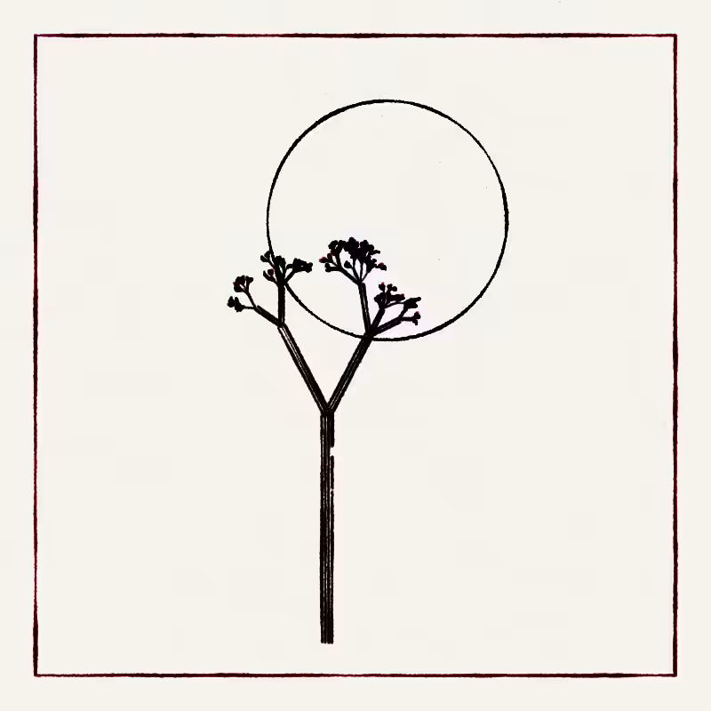 Hand-Drawn Tree #54