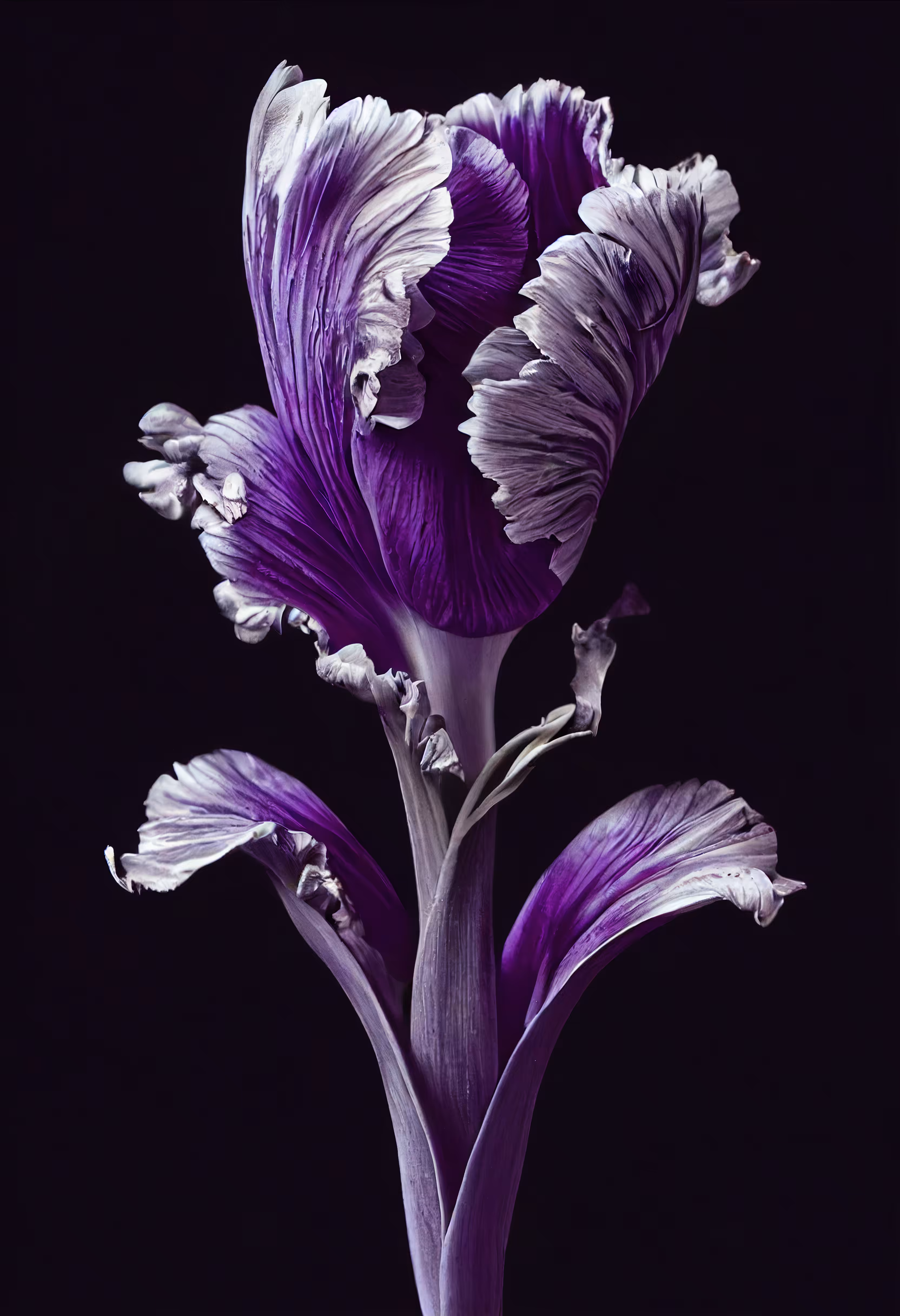 A Flower, Just For You. #121