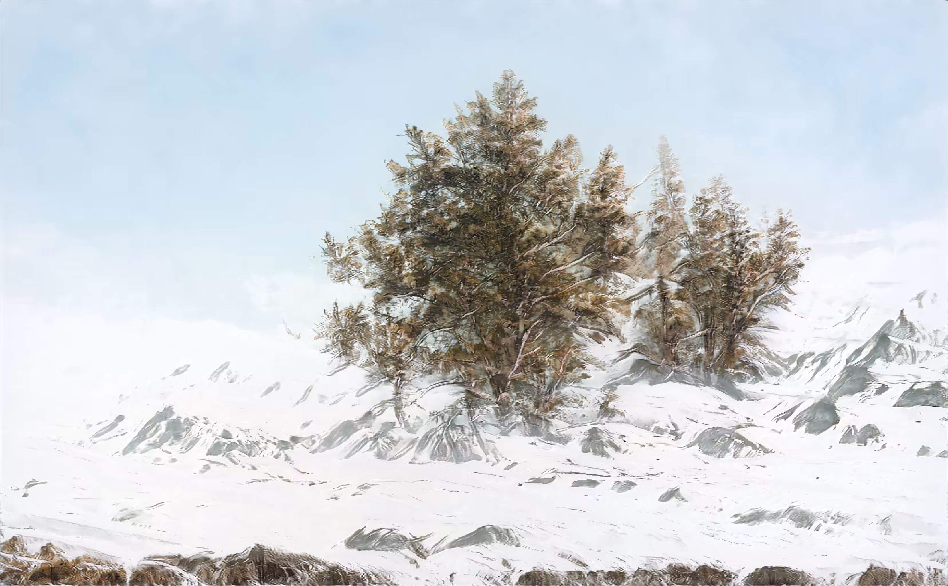 Winter Wonder Tree