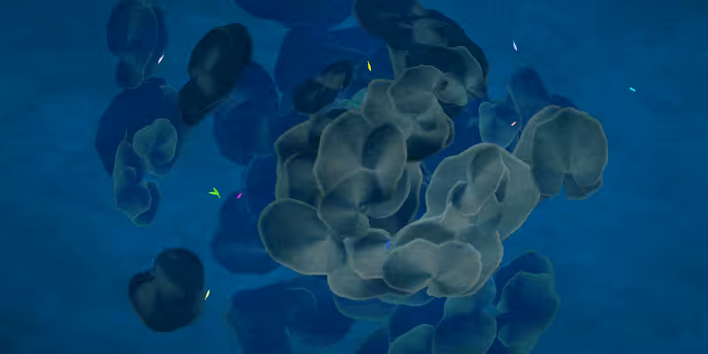 The Restoration Scheme: Reefs #10