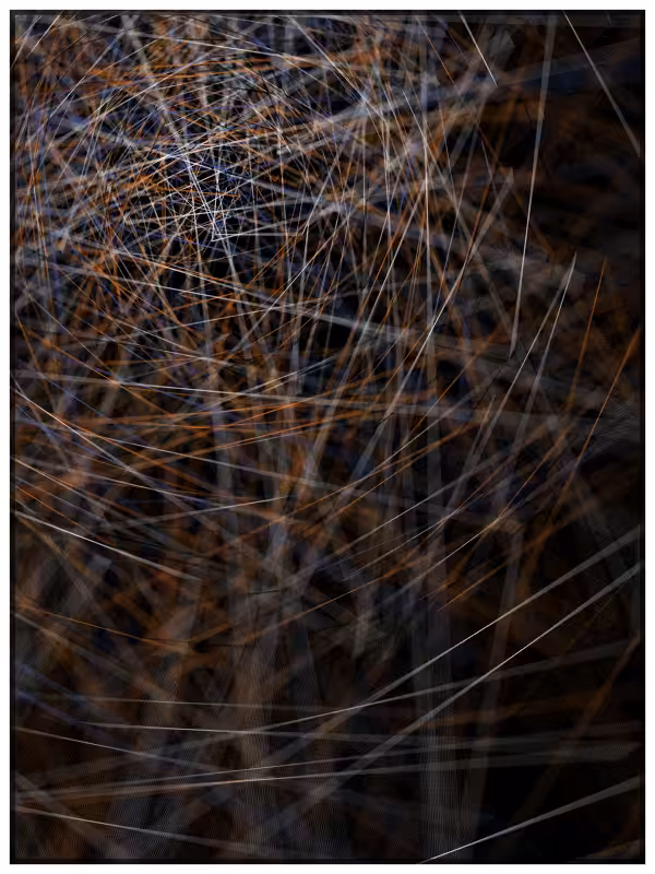 Haystack in a Needle #9