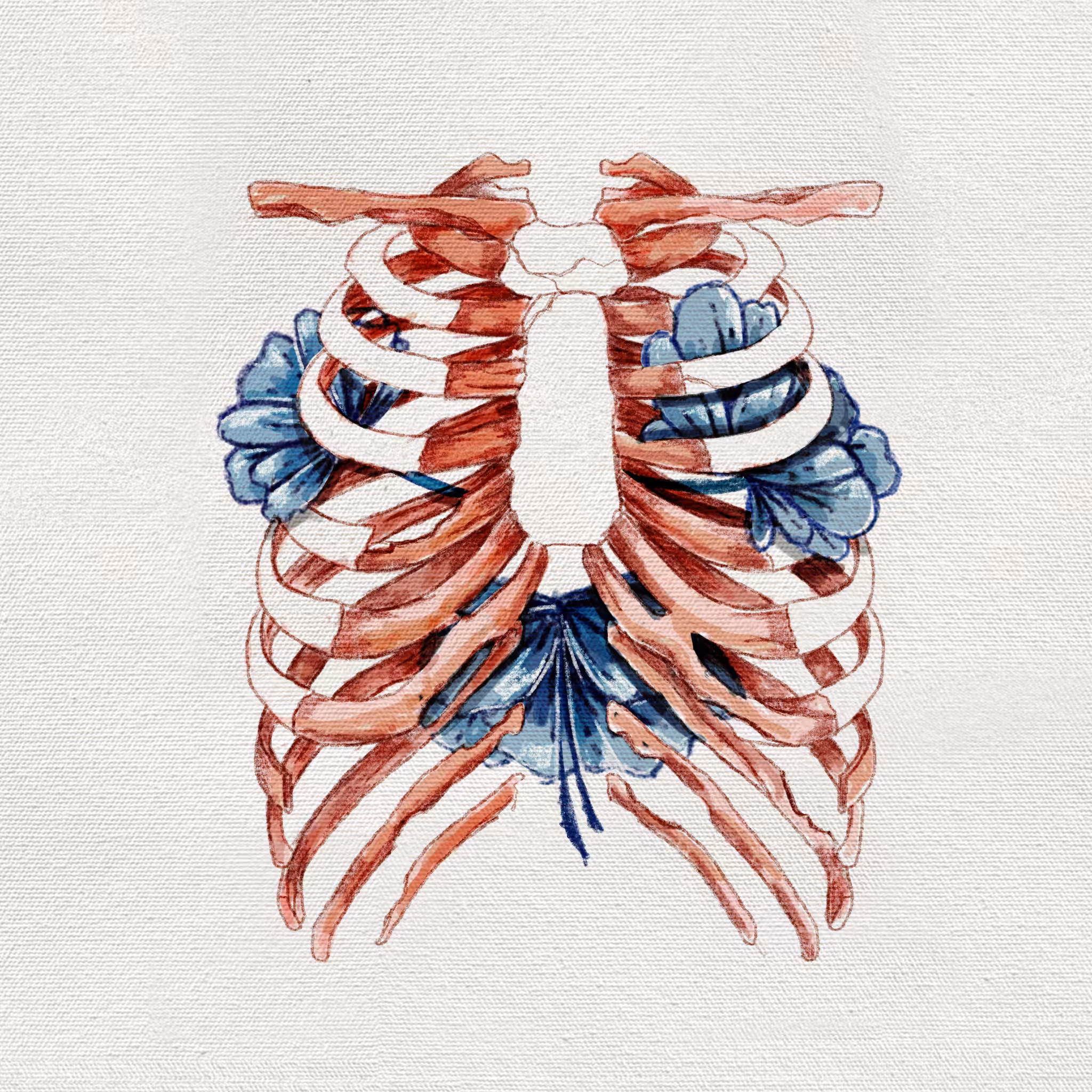 Underneath your chest ( Grow )