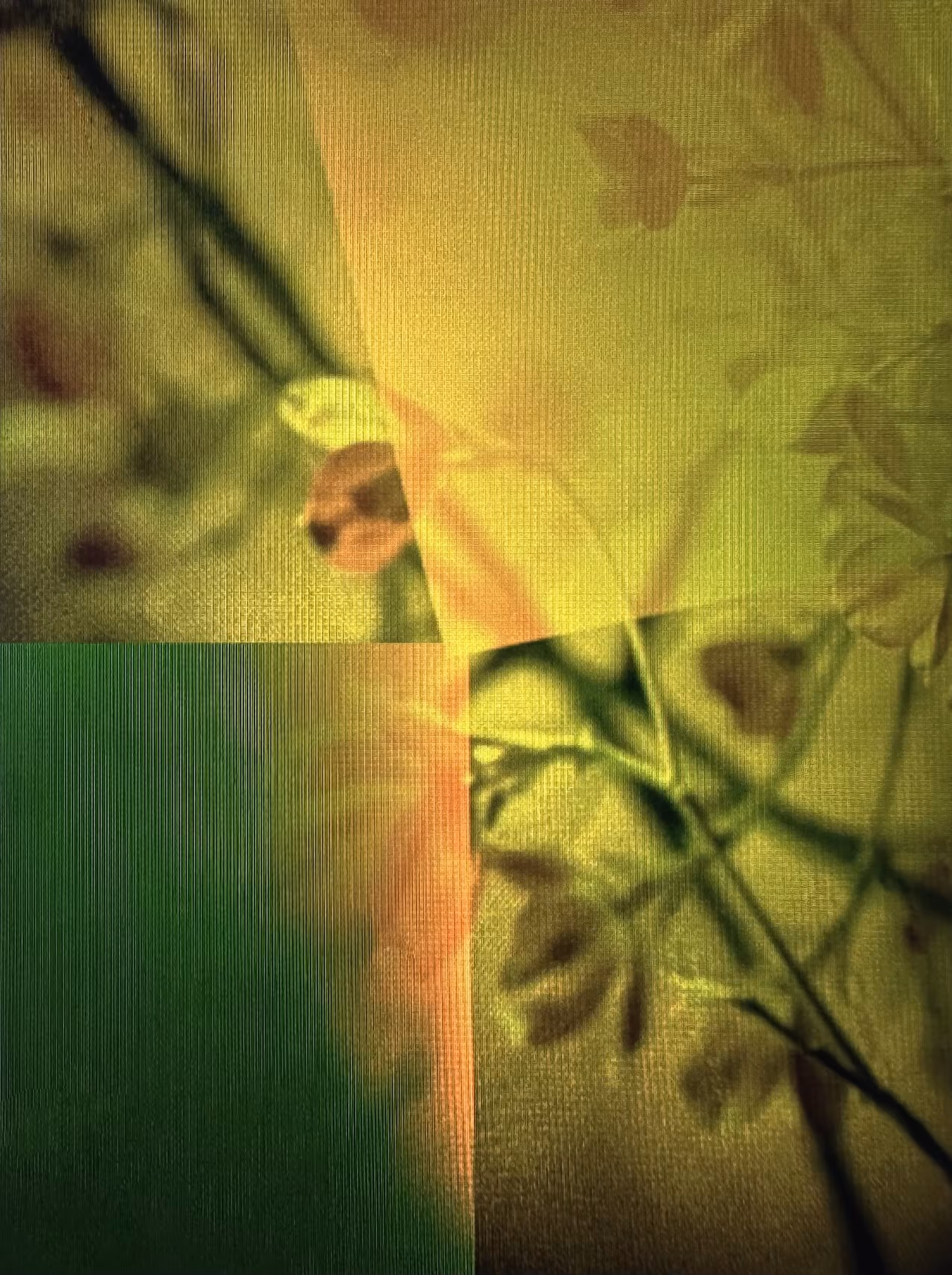 LOWREZ020
