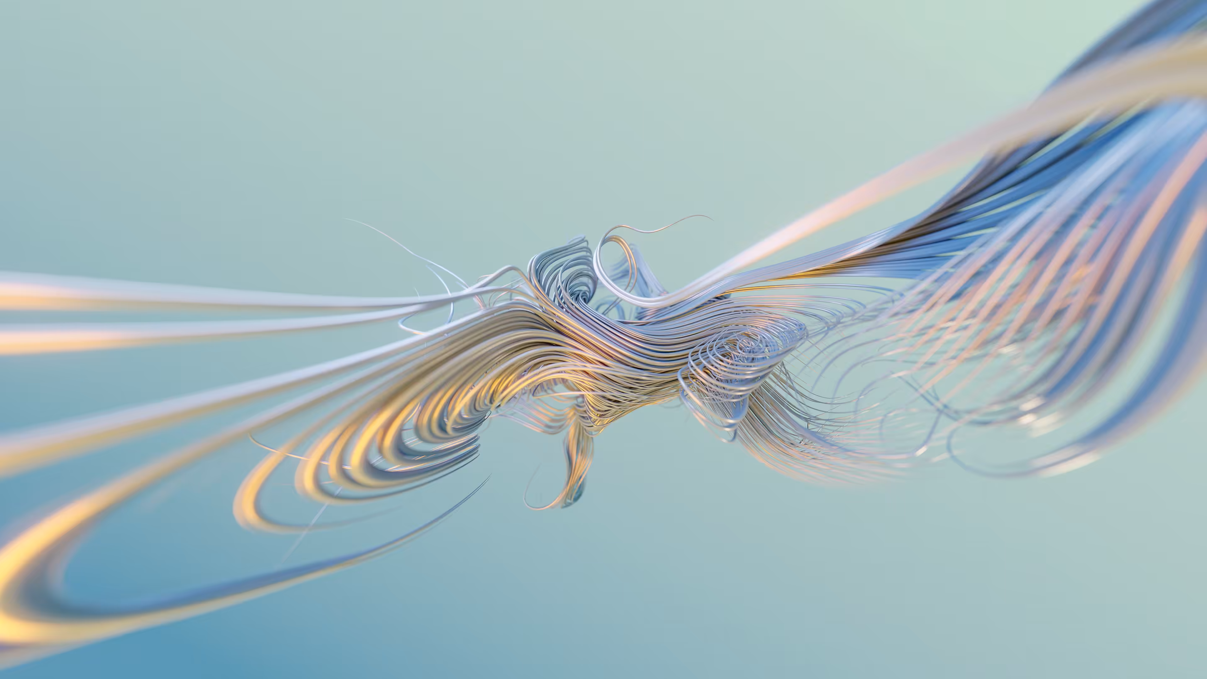 Feather Curl #3