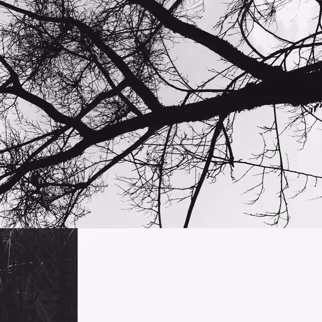 Botanical Monomyth