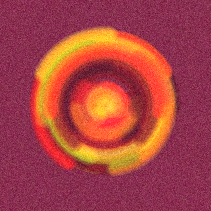 Wisp #263