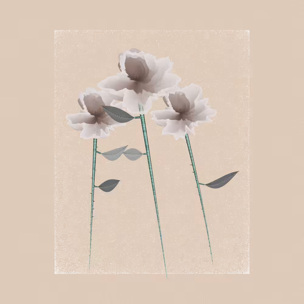 Magnolia #83