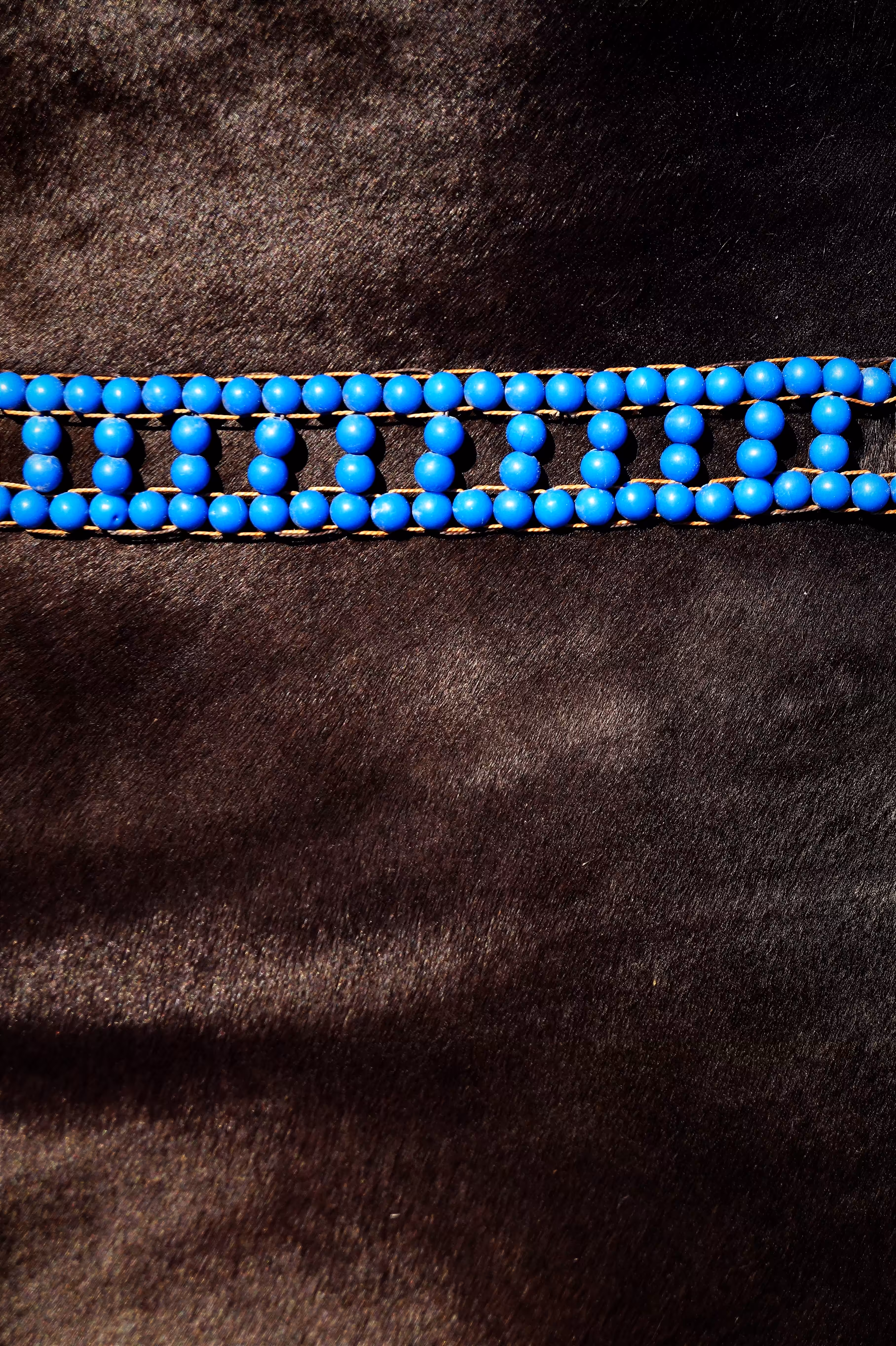 A horse with a turquoise necklace
