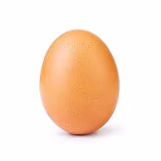Most Minted Egg