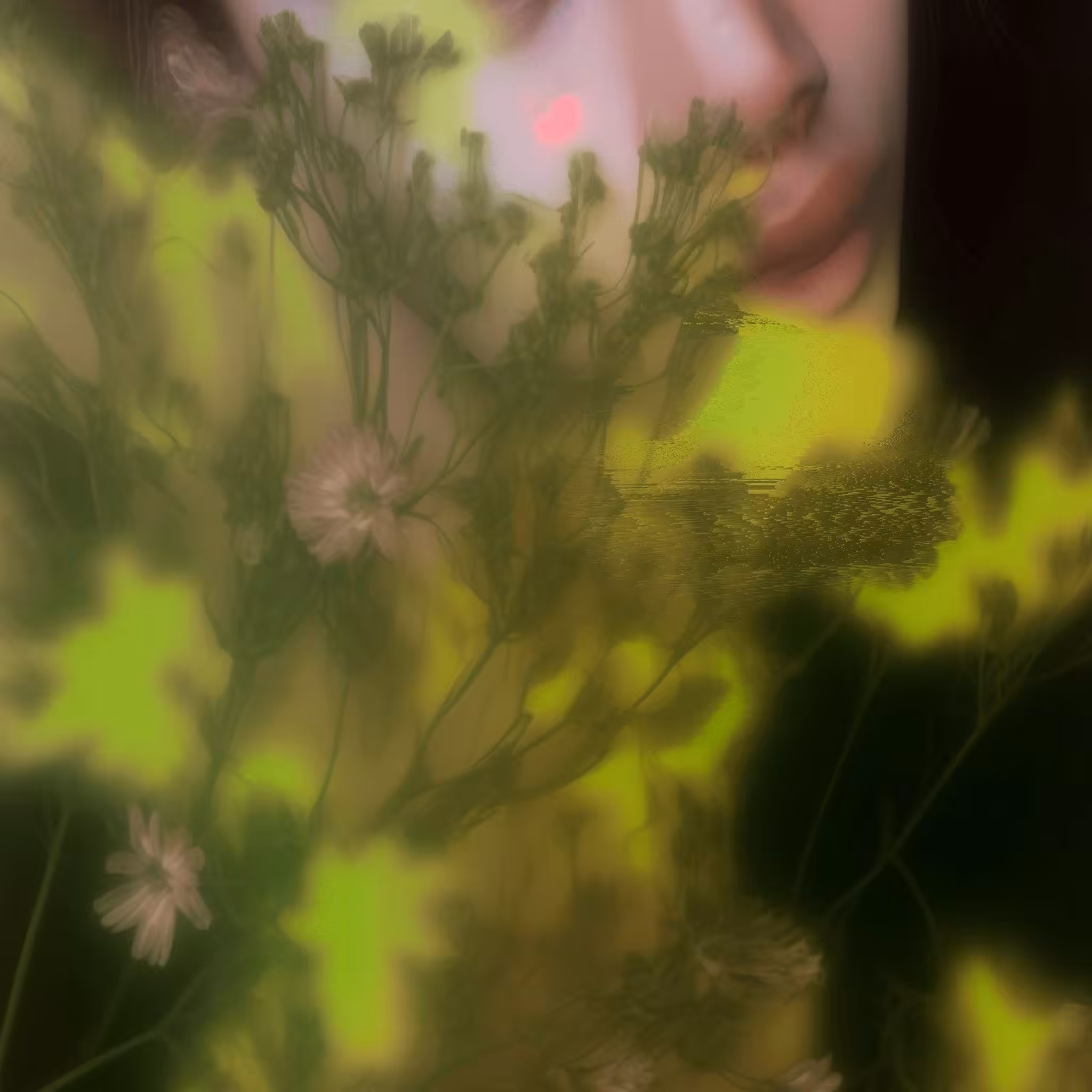 flowers for no reason