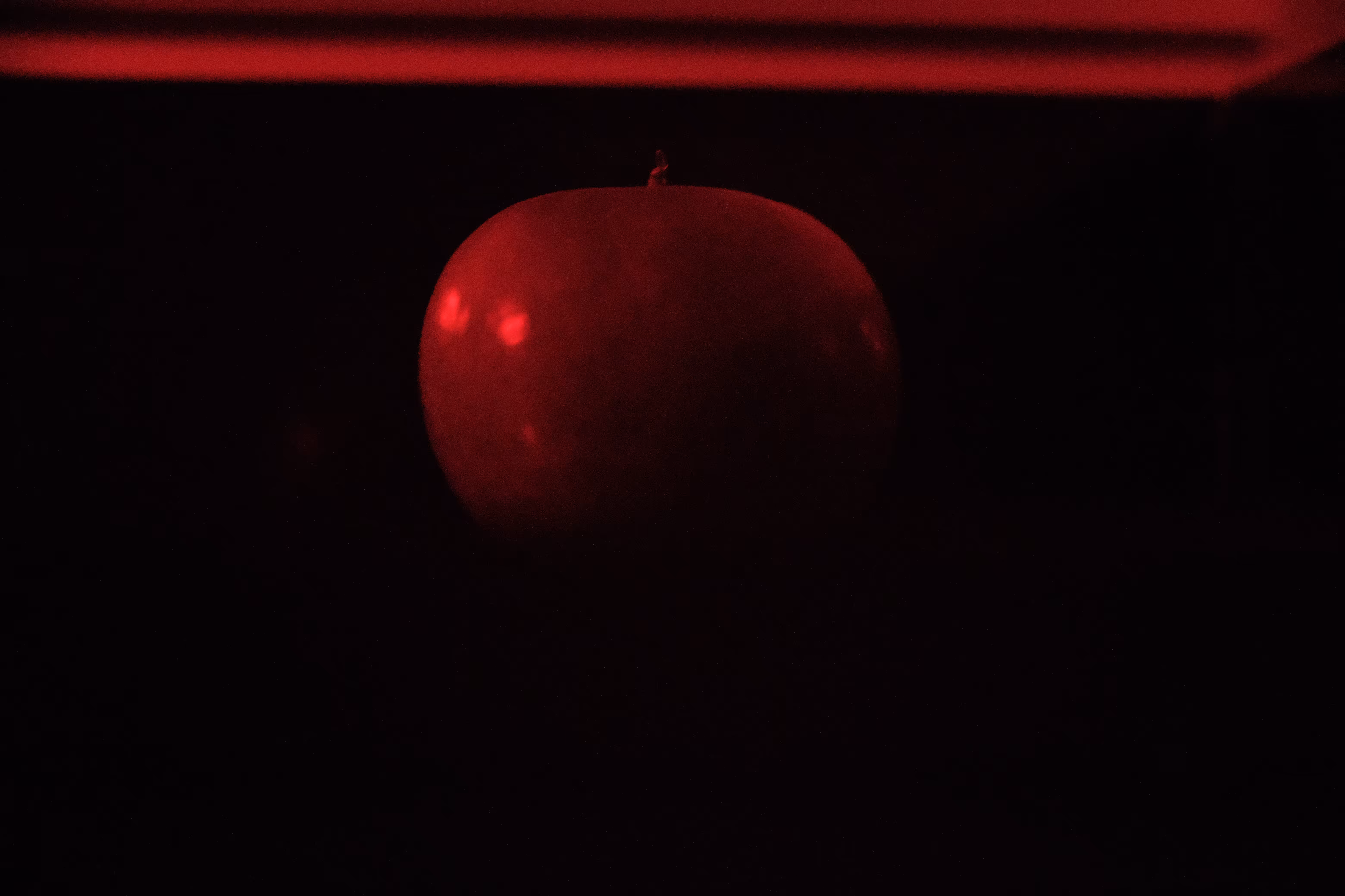 Photographer's DNA - #4