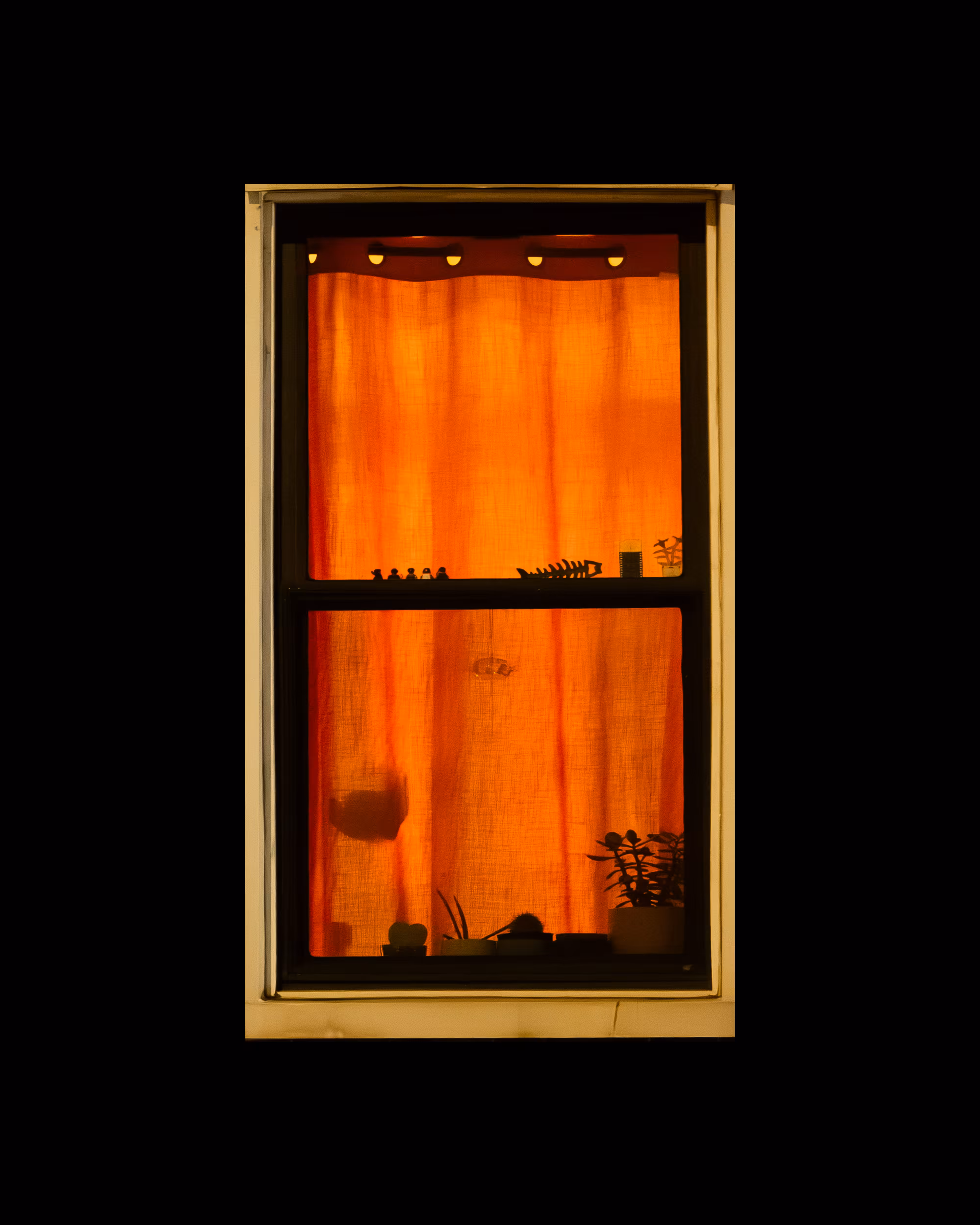 WINDOW 288