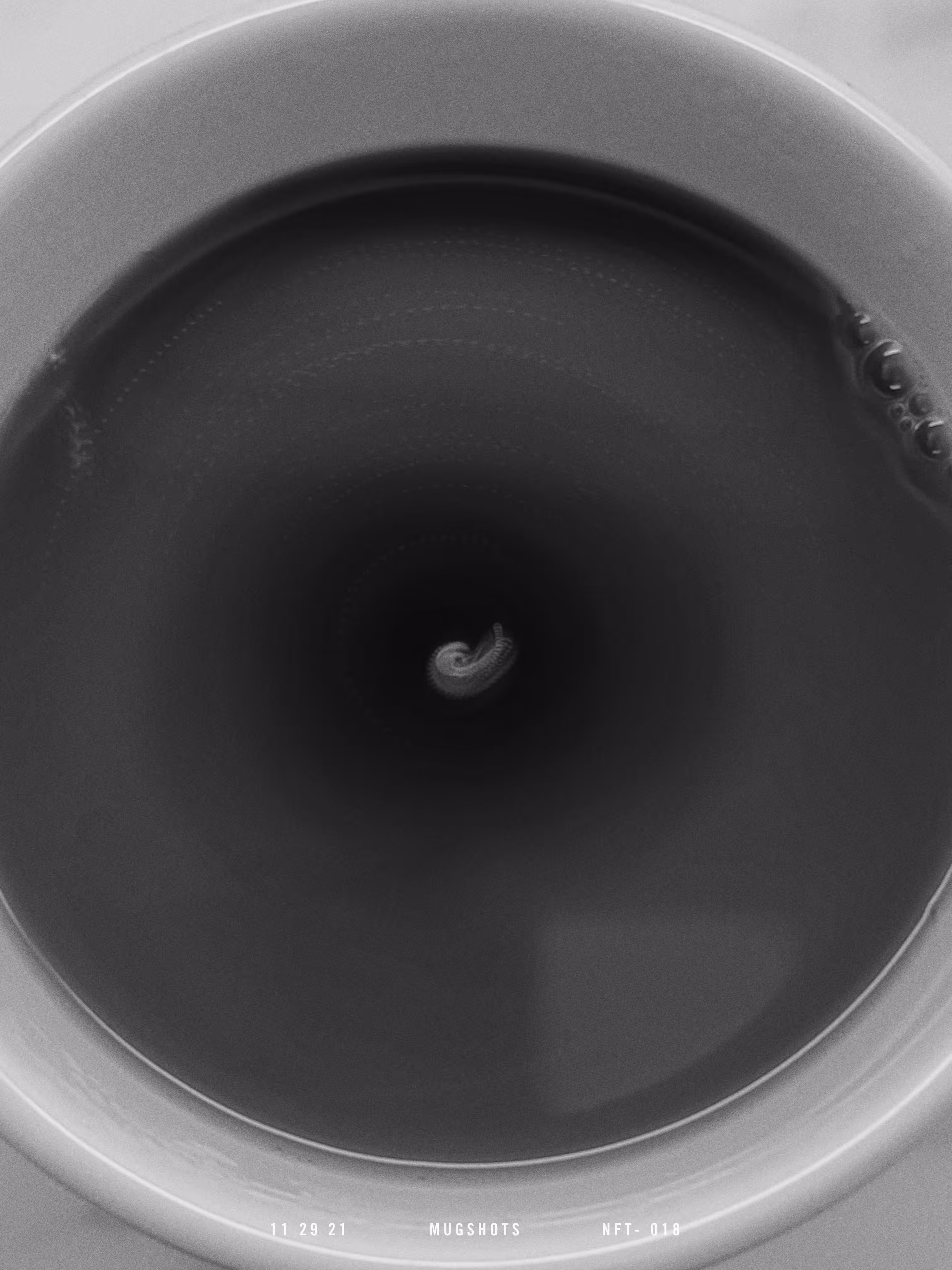 11 29 21           MUGSHOTS           NFT- 018