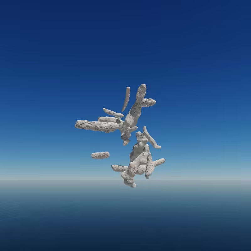 Bone Work (Gulf of Mexico) 2022 #33