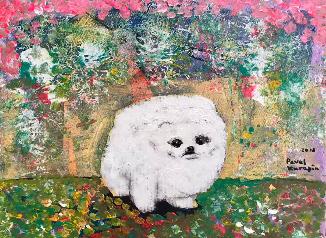 Cloud dog