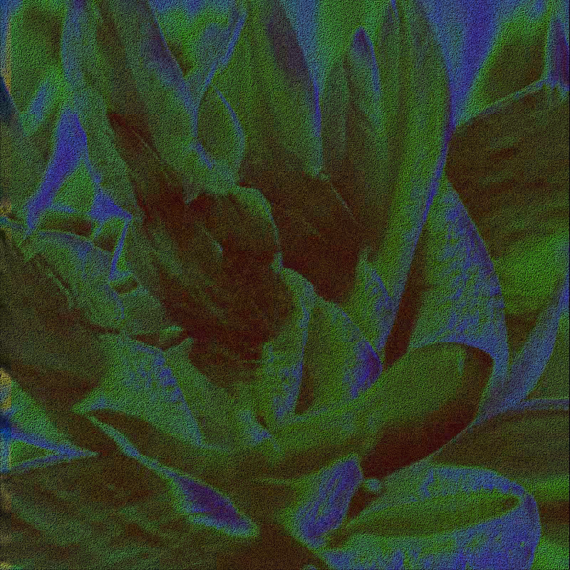 CLDCSMC #88