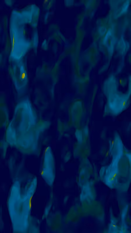 {Lumina} #1941