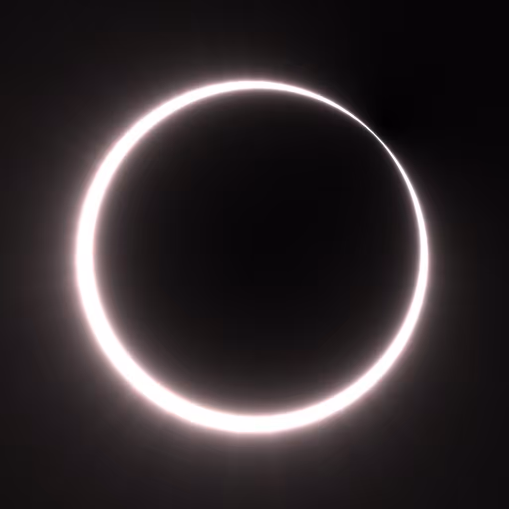 Totality #303