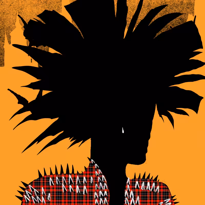 The Unseen Punks #32