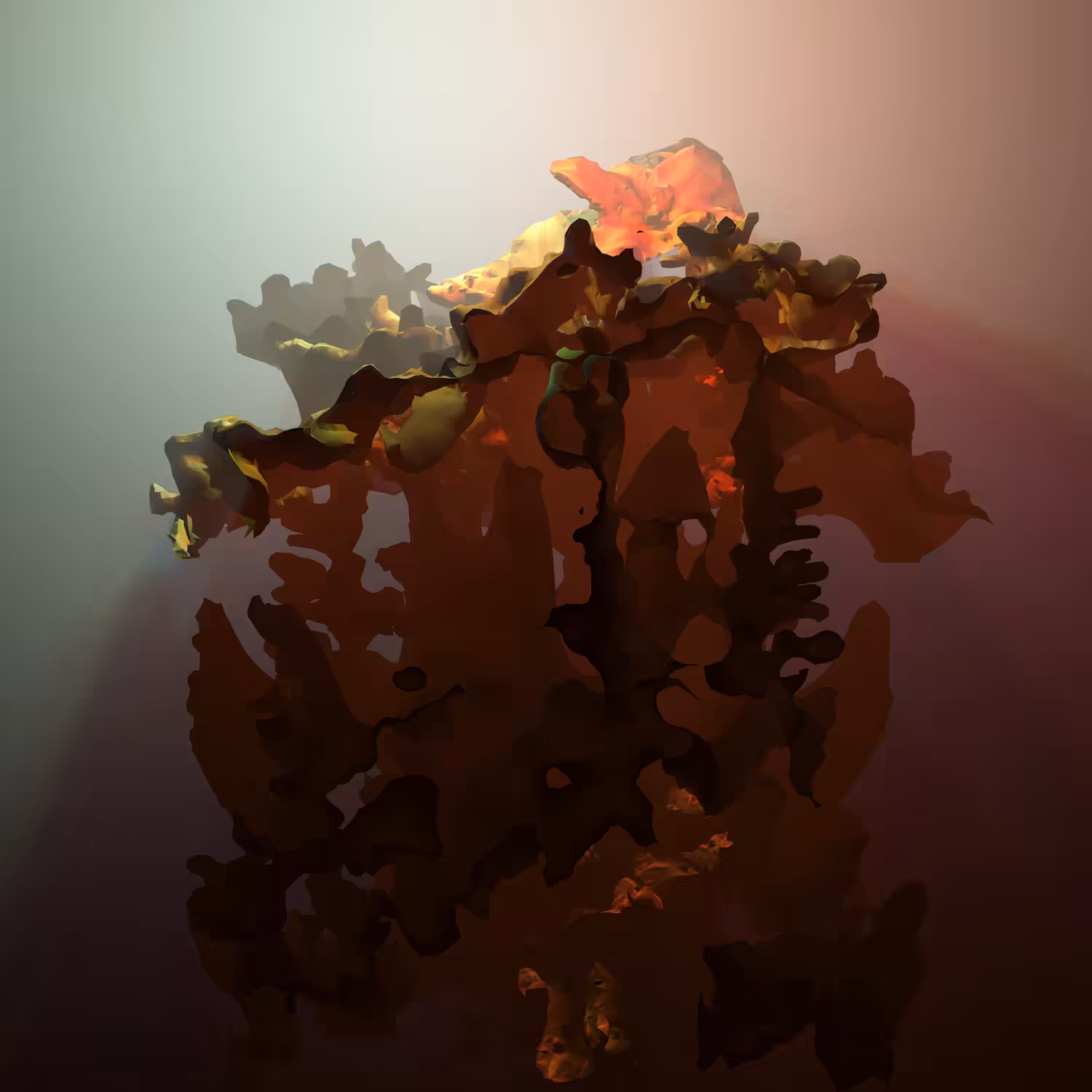 BLOOMCORE #51
