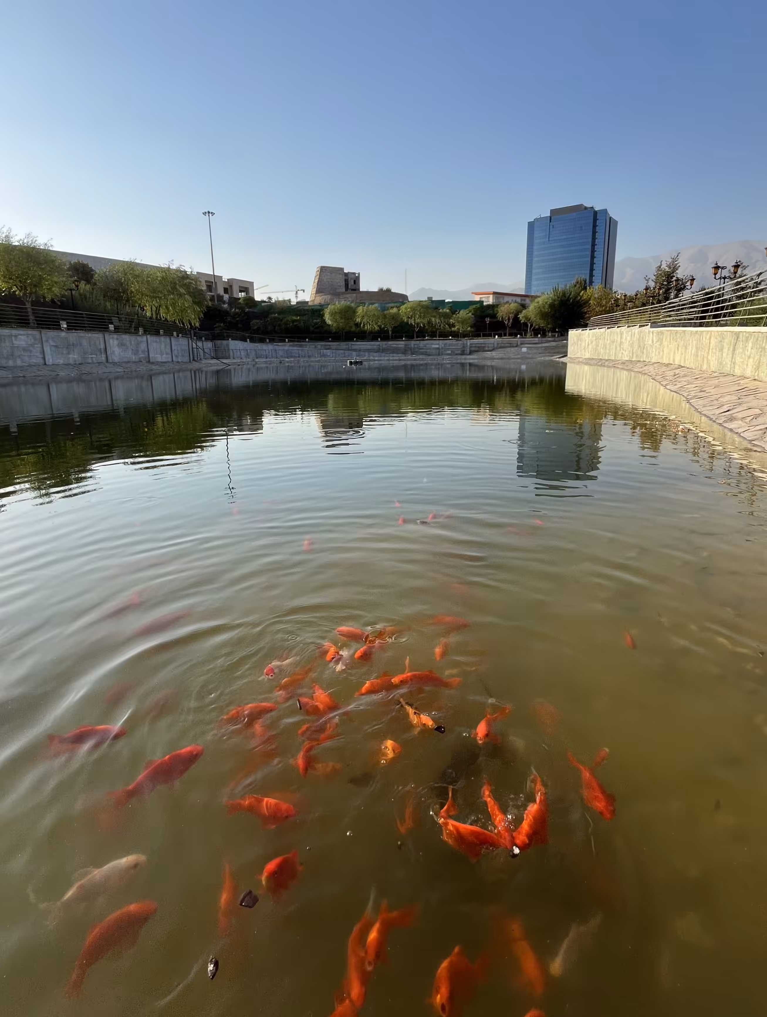 The Fiery Dance of Hope in Tehran’s Waters