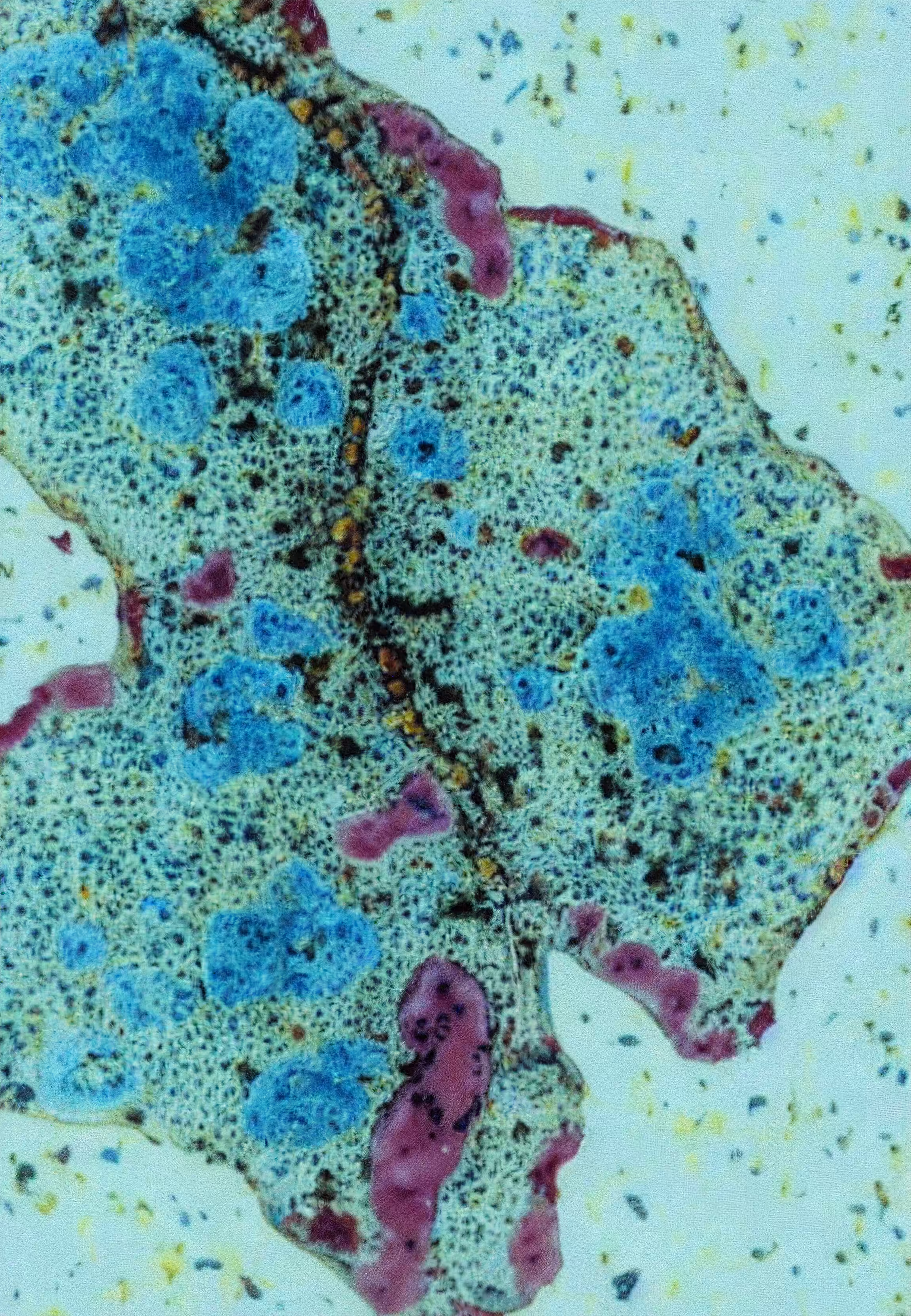 Histologia In Silico #300