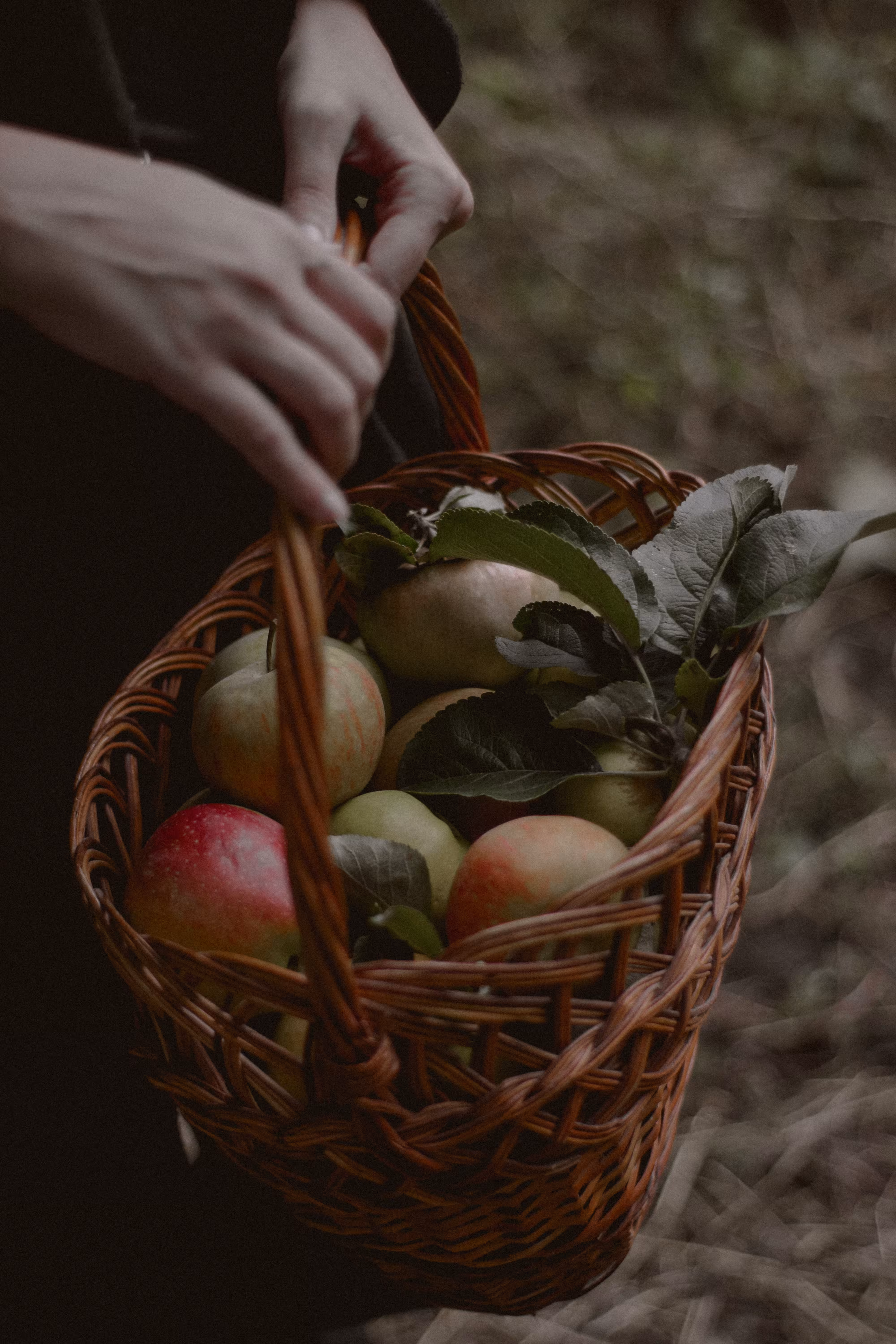 abundance