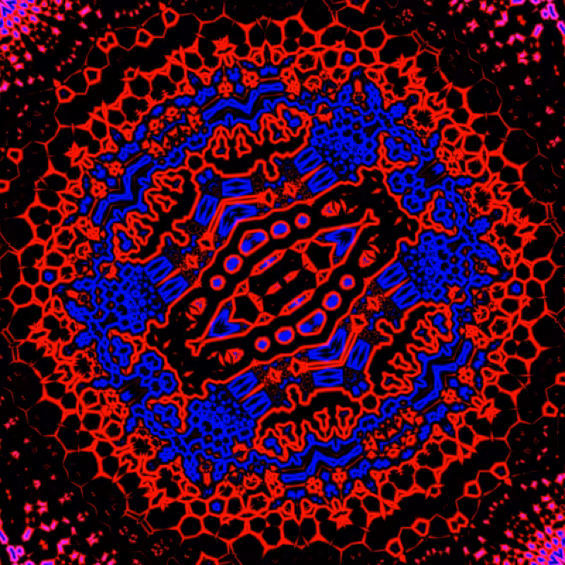 Foldoscope #12