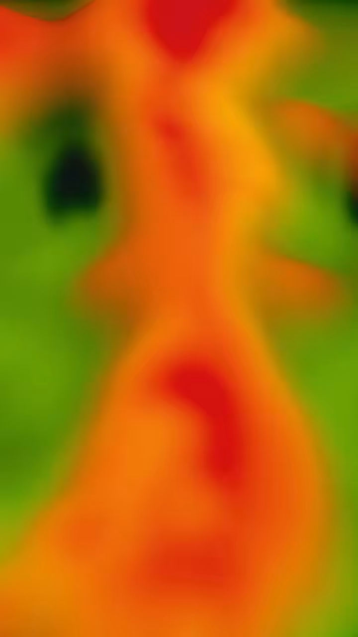 Wanderer (Entropy Loop IV) 