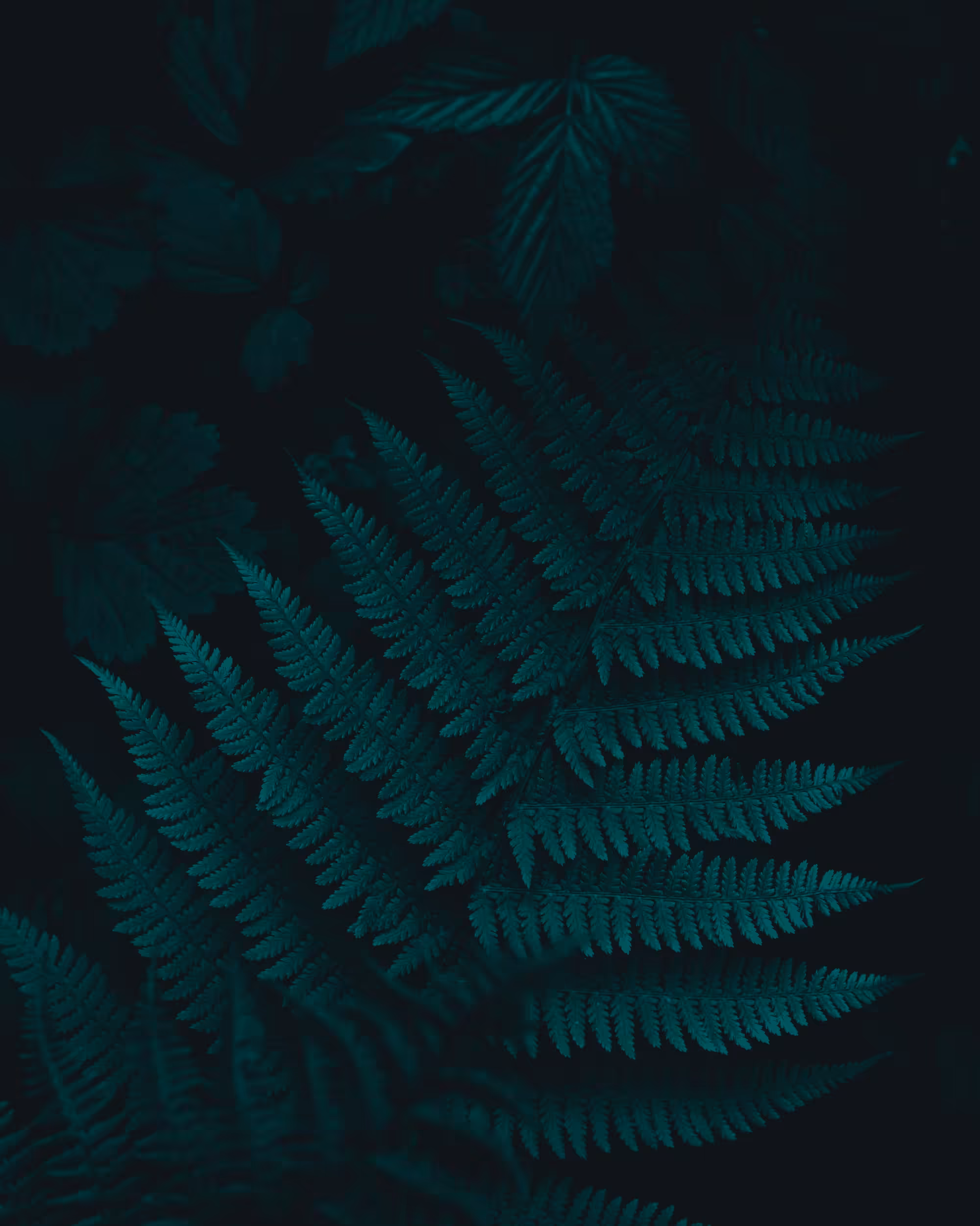 #47 — Underwood