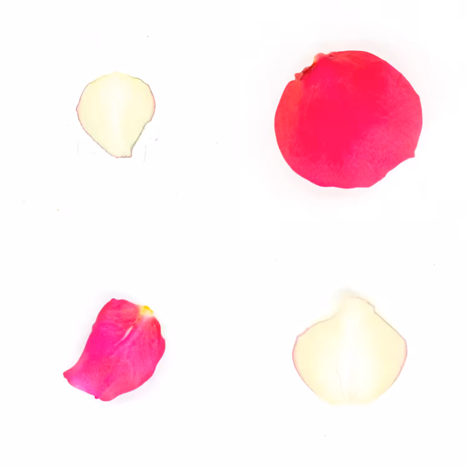 Infinite Petals 2x2#20213