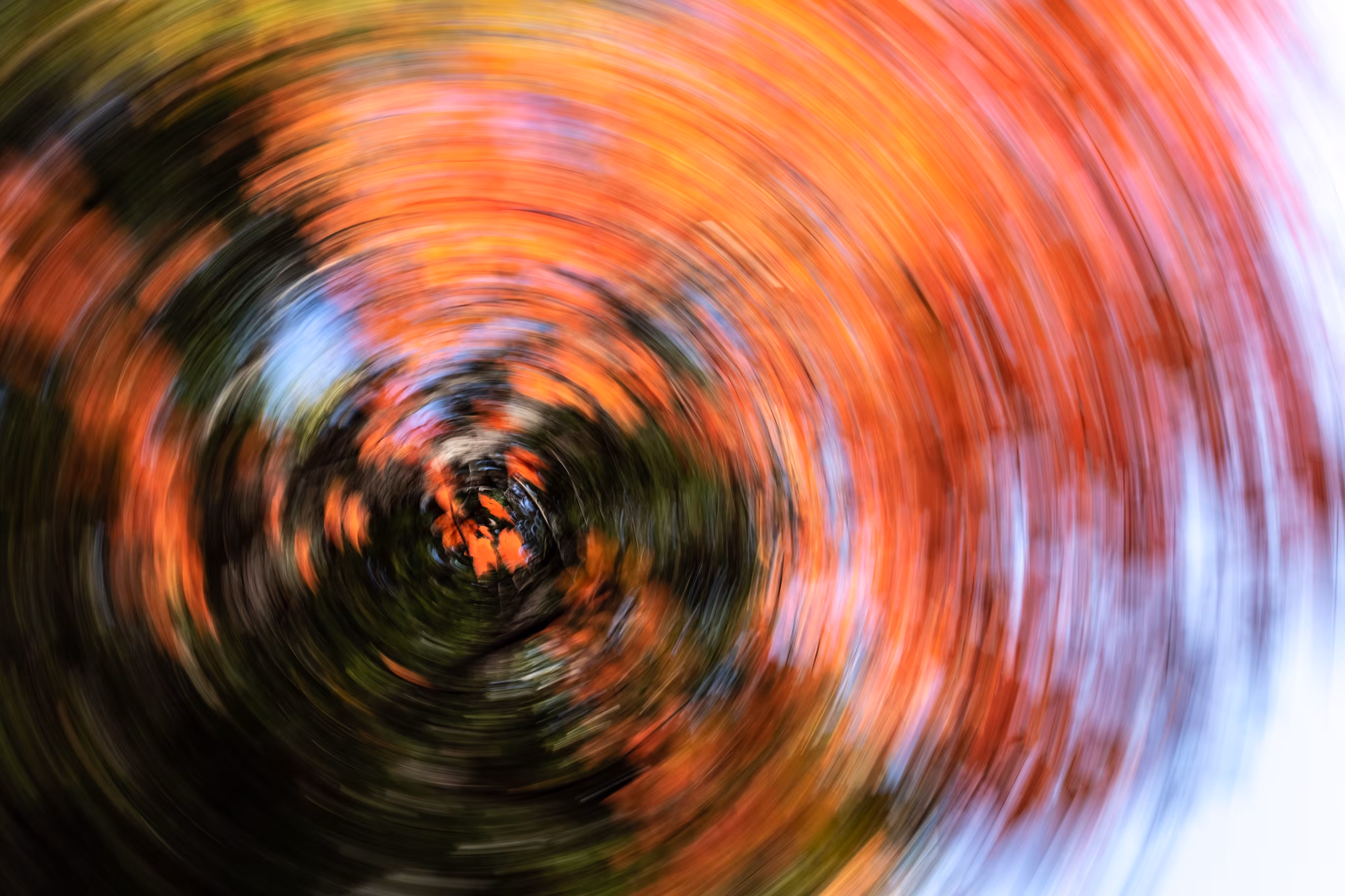 Tree Rings #43 - Inferno