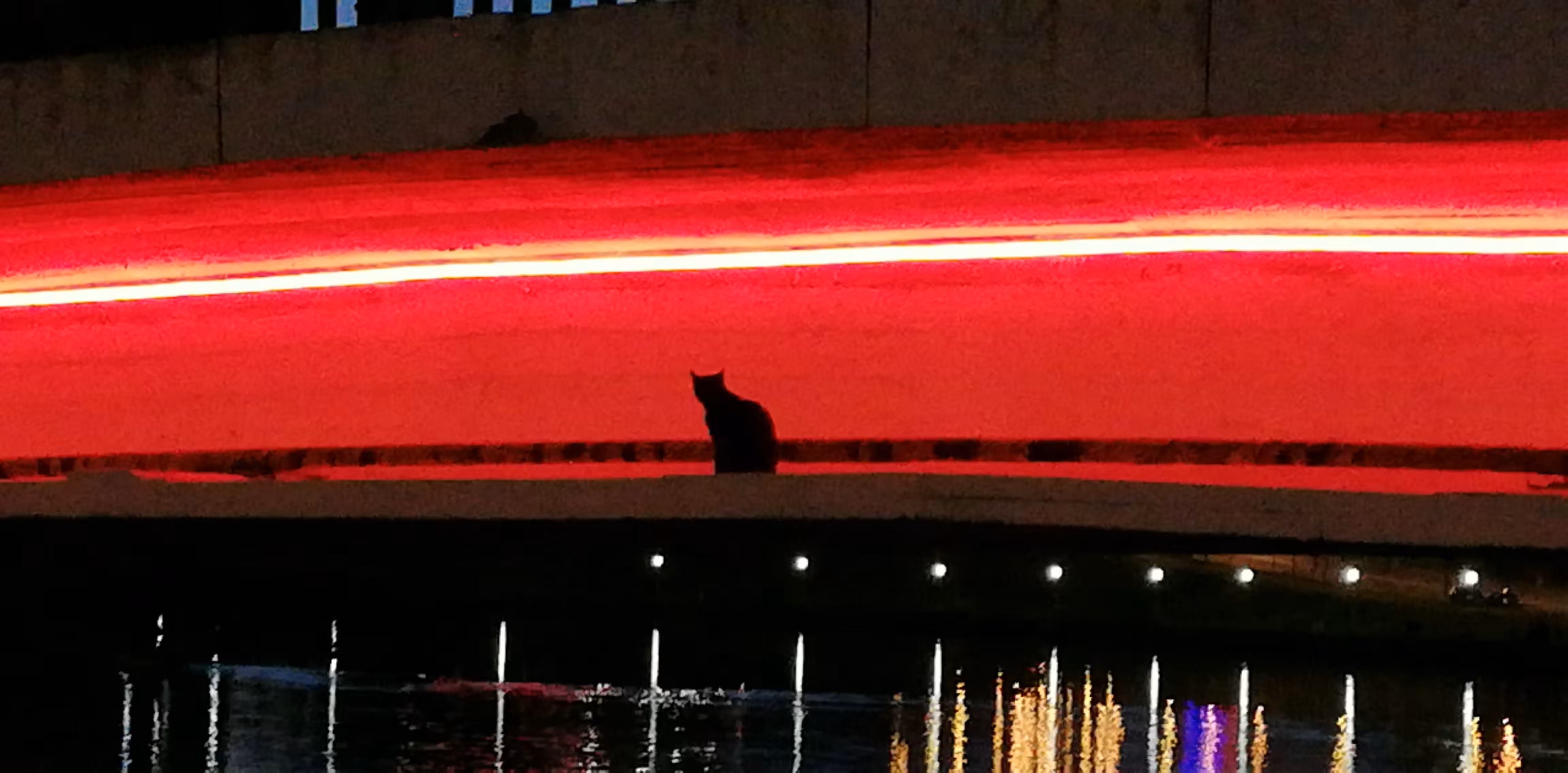 Shadow under the bridge