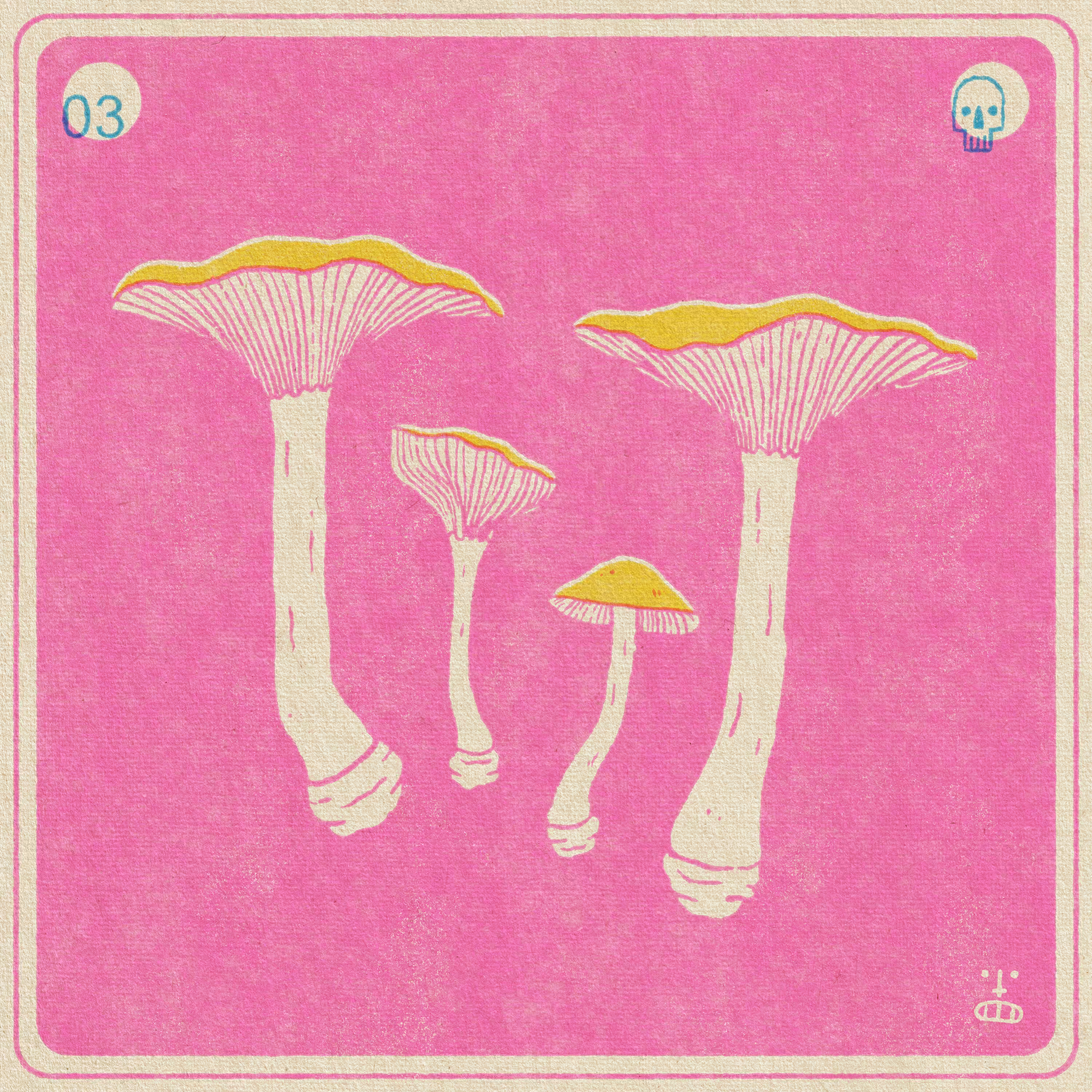 3- Clitocybe Rivulosa (Fool's Funnel)