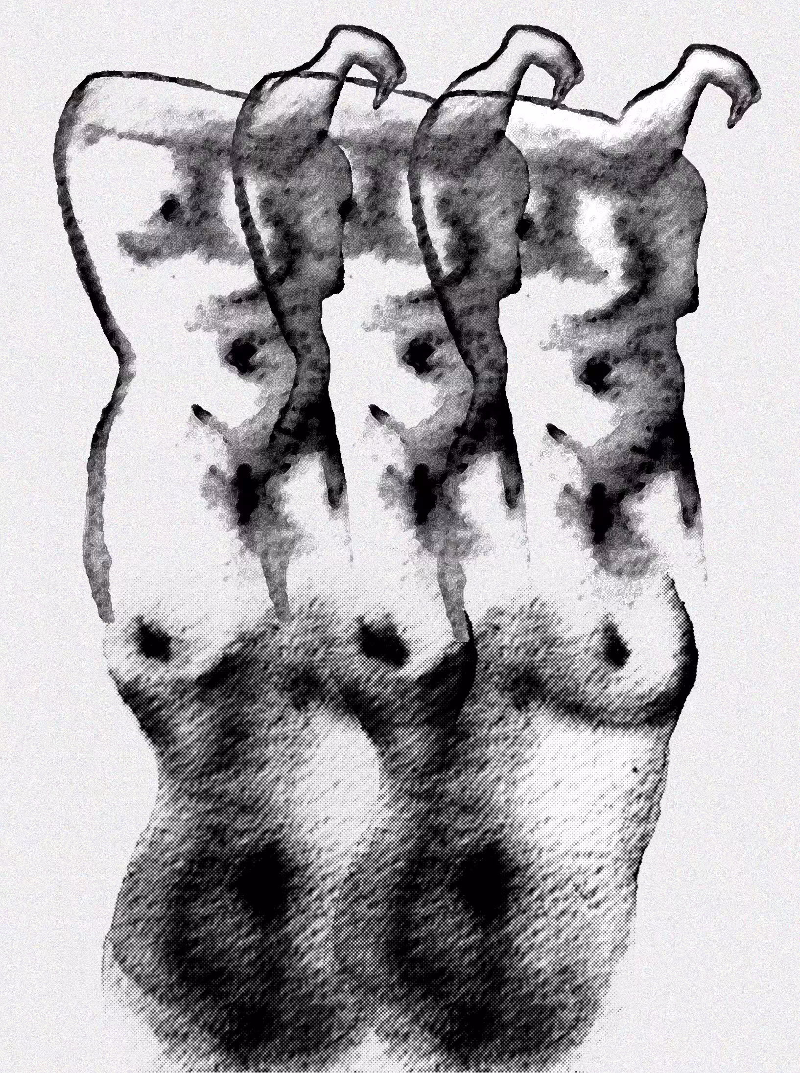Bodies