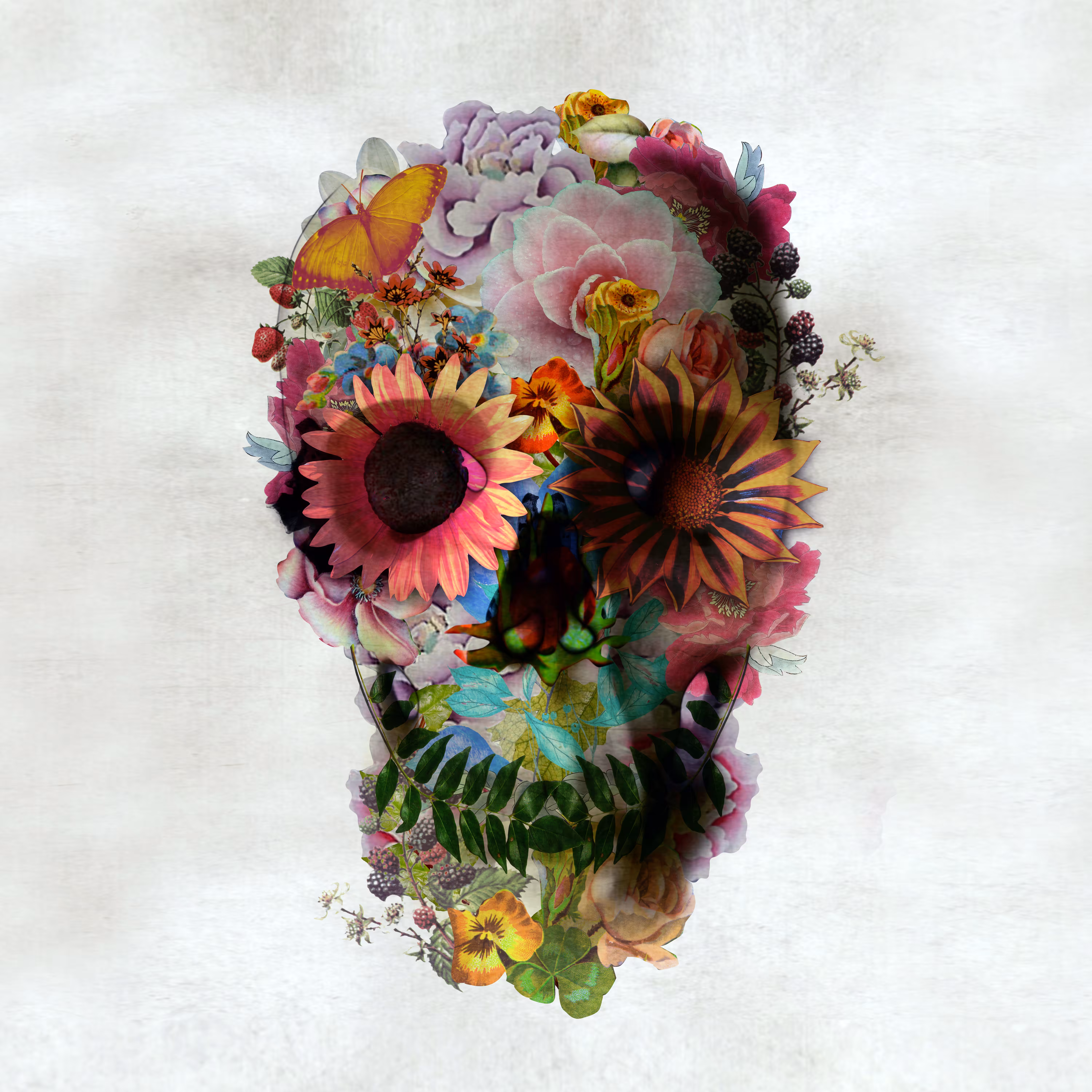 Skull2