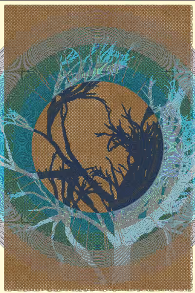 illusion #2
