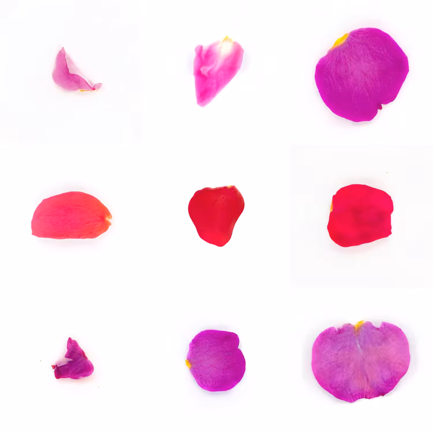 Infinite Petals 3x3#3778