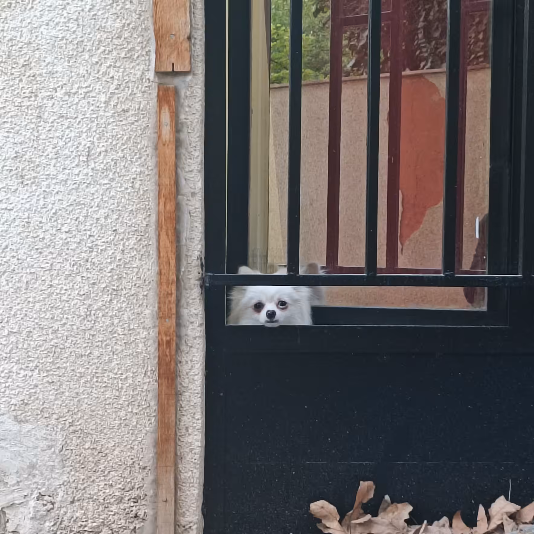 Can you stay?