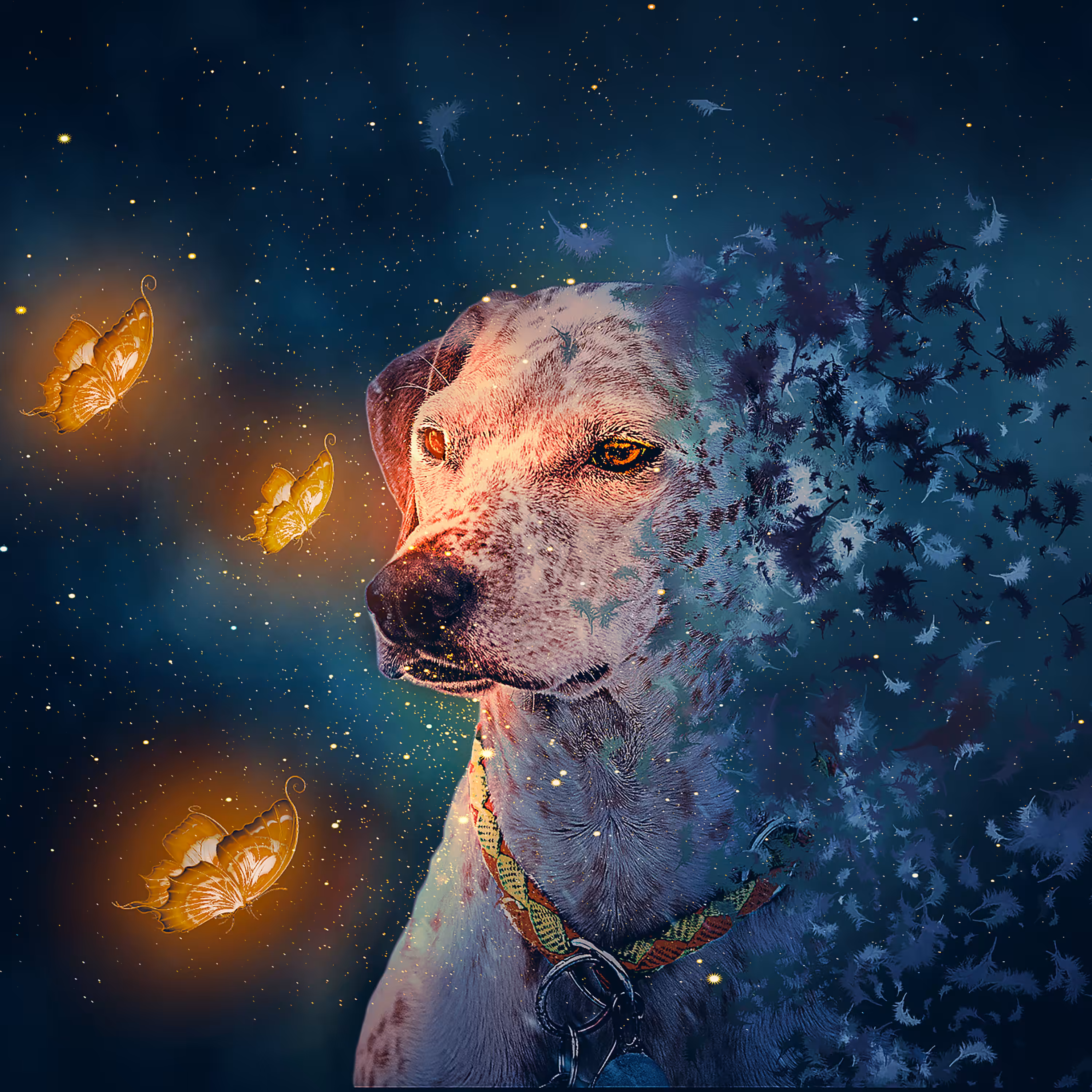 Meta Dog