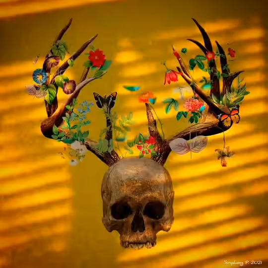 SKULL MIXED ON THE WALL
