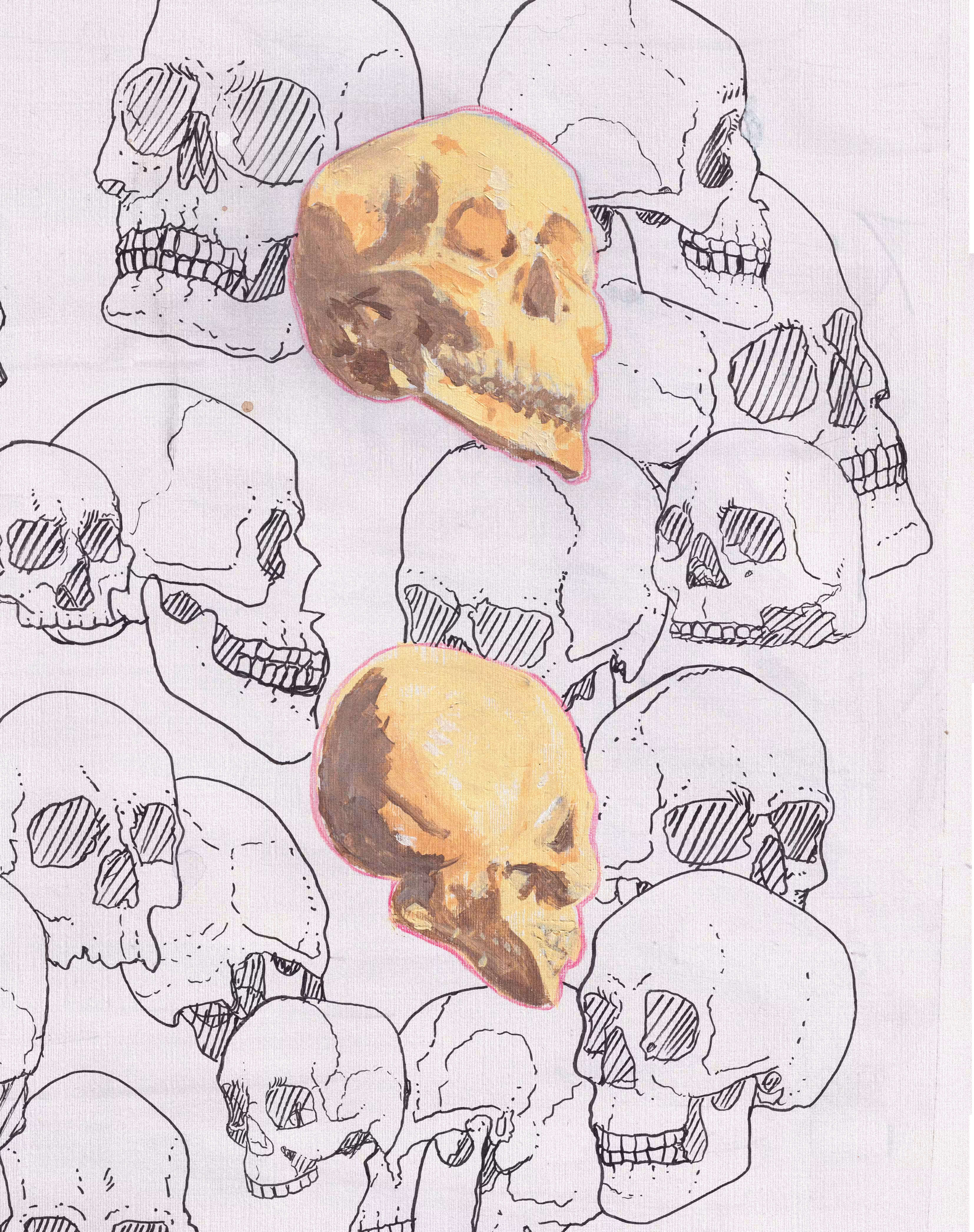 skulls